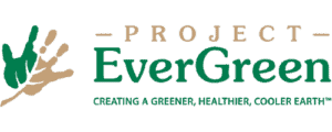 http://www.projectevergreen.org/